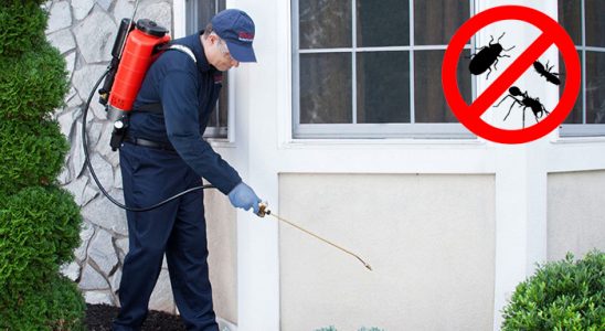 Şemikler Dezenfeksiyon böcek ilaçlama ve haşere kontrolü — ilaclama-tr.com